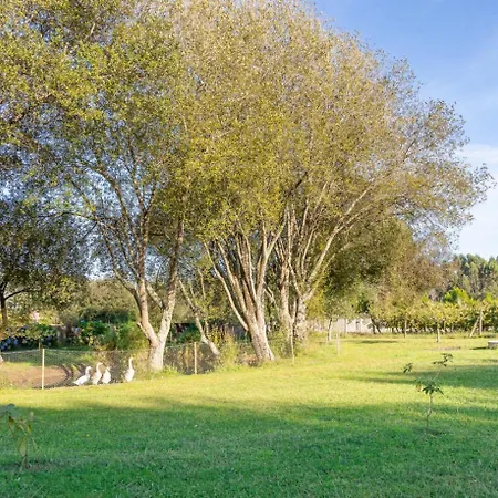 Retreat Deluxe - Portugal Active *